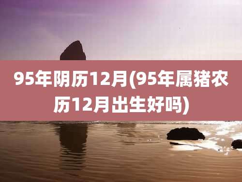 95年阴历12月(95年属猪农历12月出生好吗)
