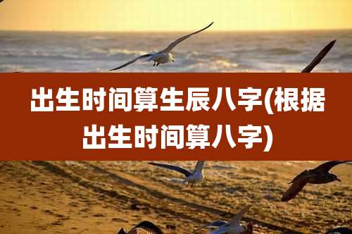 出生时间算生辰八字(根据出生时间算八字)
