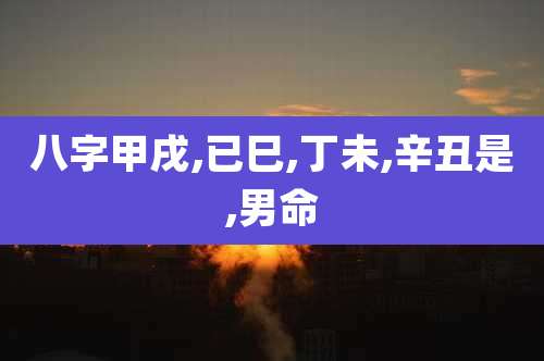 八字甲戌,已巳,丁未,辛丑是,男命
