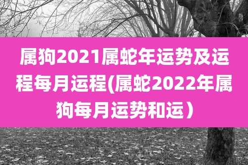 属狗2021属蛇年运势及运程每月运程(属蛇2022年属狗每月运势和运）