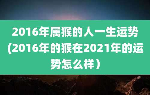 2016年属猴的人一生运势(2016年的猴在2021年的运势怎么样）