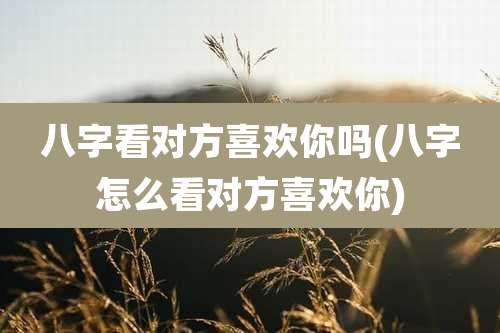 八字看对方喜欢你吗(八字怎么看对方喜欢你)