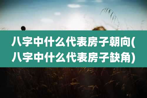 八字中什么代表房子朝向(八字中什么代表房子缺角)