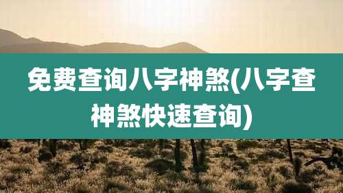 免费查询八字神煞(八字查神煞快速查询)