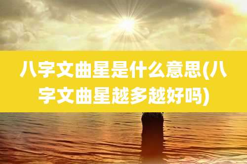 八字文曲星是什么意思(八字文曲星越多越好吗)