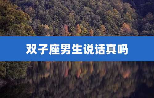 双子座男生说话真吗