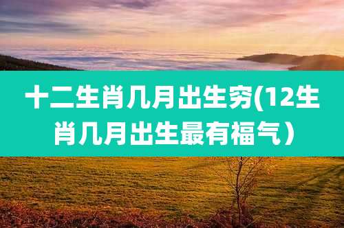 十二生肖几月出生穷(12生肖几月出生最有福气）