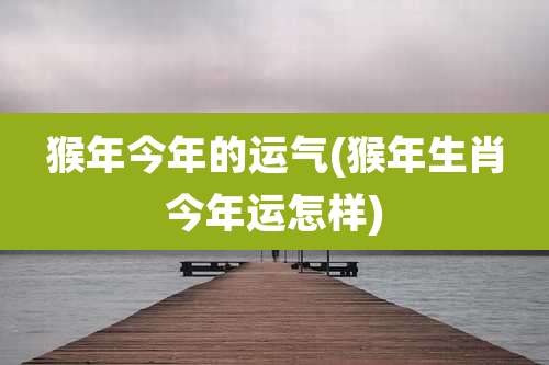 猴年今年的运气(猴年生肖今年运怎样)