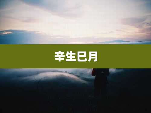 辛生巳月