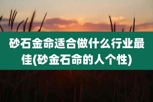 砂石金命适合做什么行业最佳(砂金石命的人个性)