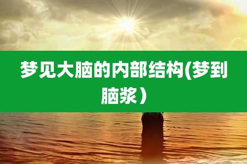 梦见大脑的内部结构(梦到脑浆)