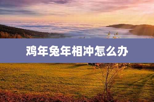 鸡年兔年相冲怎么办