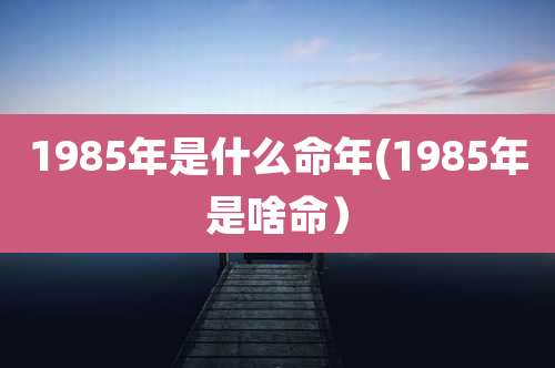 1985年是什么命年(1985年是啥命)