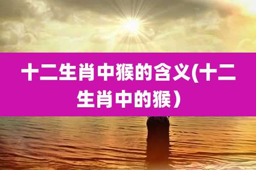 十二生肖中猴的含义(十二生肖中的猴)