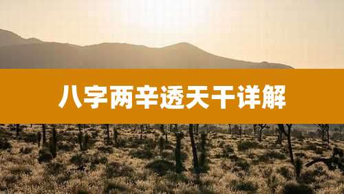 八字两辛透天干详解