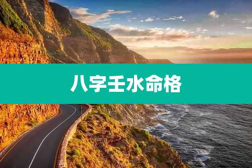 八字壬水命格
