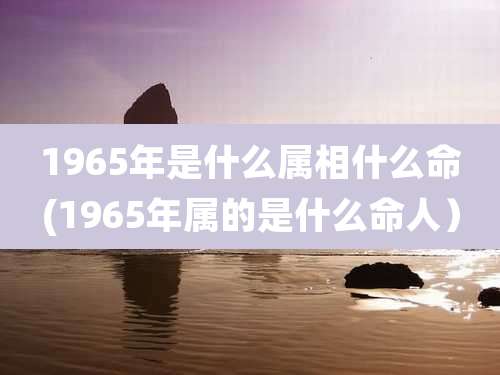 1965年是什么属相什么命(1965年属的是什么命人）