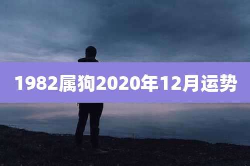 1982属狗2020年12月运势