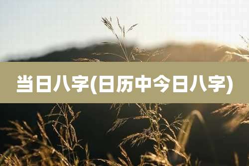 当日八字(日历中今日八字)