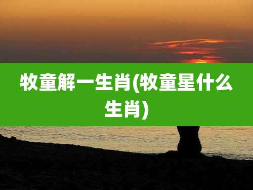 牧童解一生肖(牧童星什么生肖)