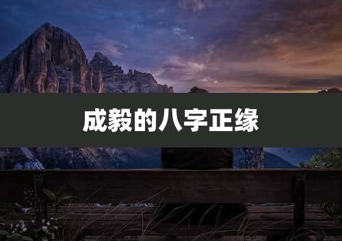 成毅的八字正缘