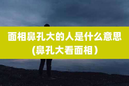 面相鼻孔大的人是什么意思(鼻孔大看面相)