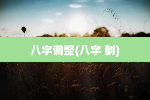 八字调整(八字 制)