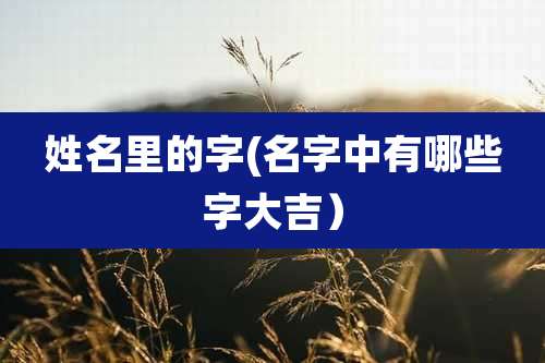 姓名里的字(名字中有哪些字大吉)