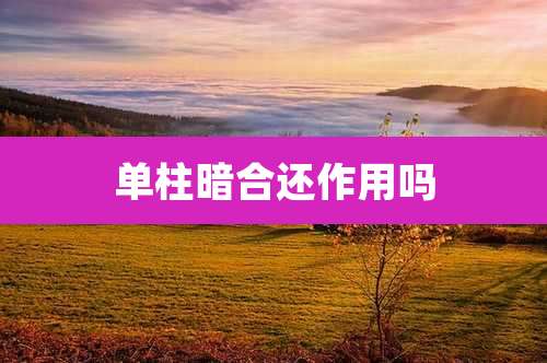 单柱暗合还作用吗