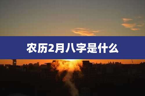 农历2月八字是什么