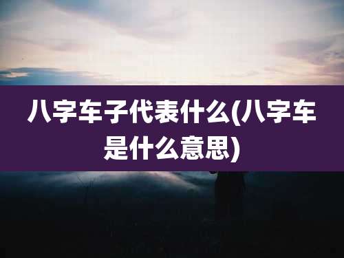 八字车子代表什么(八字车是什么意思)