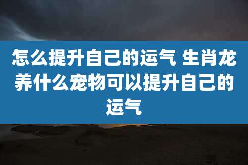 怎么提升自己的运气 生肖龙养什么宠物可以提升自己的运气
