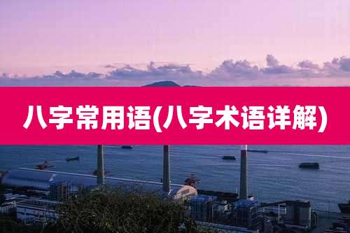 八字常用语(八字术语详解)