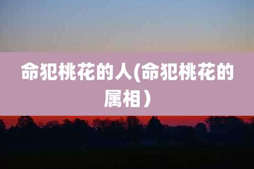 命犯桃花的人(命犯桃花的属相)