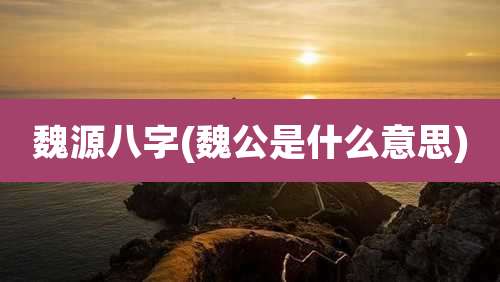 魏源八字(魏公是什么意思)