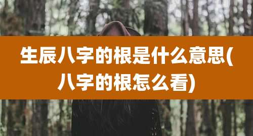 生辰八字的根是什么意思(八字的根怎么看)