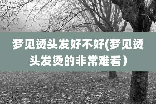 梦见烫头发好不好(梦见烫头发烫的非常难看)