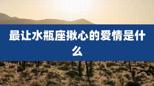 最让水瓶座揪心的爱情是什么