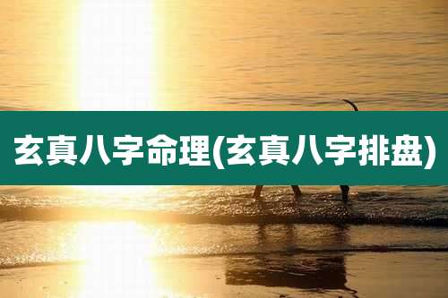 玄真八字命理(玄真八字排盘)