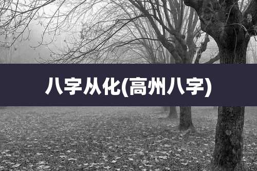 八字从化(高州八字)