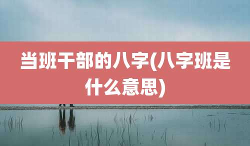 当班干部的八字(八字班是什么意思)