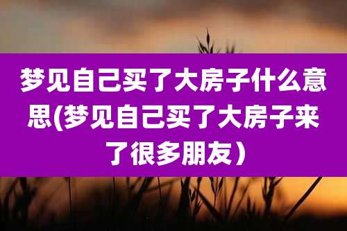 梦见自己买了大房子什么意思(梦见自己买了大房子来了很多朋友）