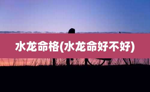 水龙命格(水龙命好不好)