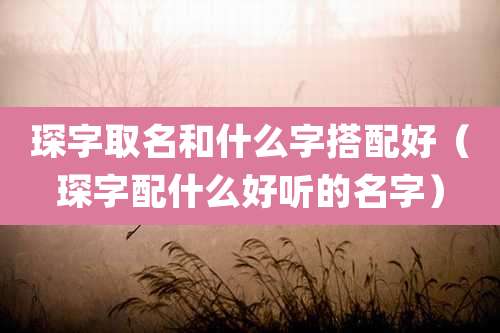 琛字取名和什么字搭配好（琛字配什么好听的名字）