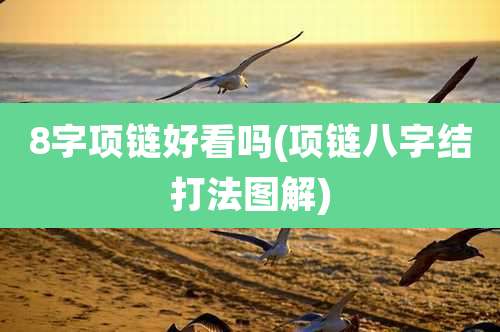 8字项链好看吗(项链八字结打法图解)