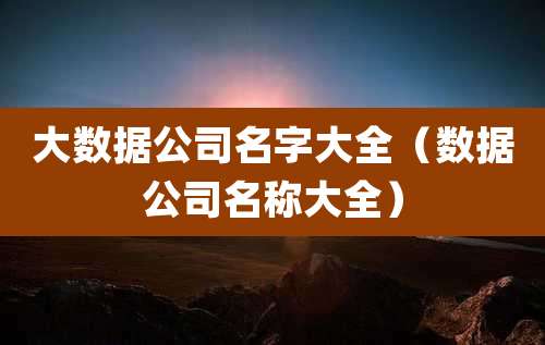 大数据公司名字大全（数据公司名称大全）