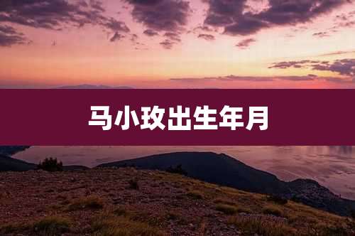 马小玫出生年月