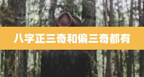 八字正三奇和偏三奇都有