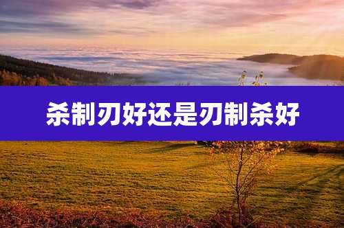 杀制刃好还是刃制杀好