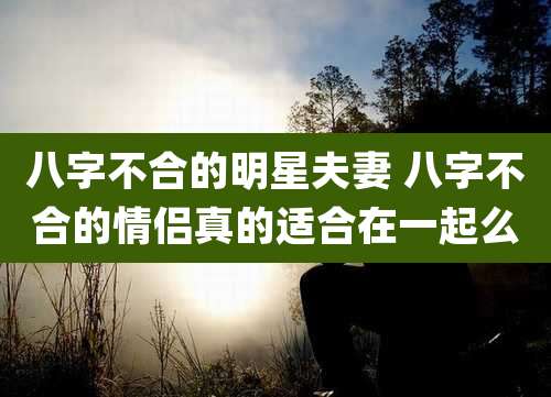八字不合的明星夫妻 八字不合的情侣真的适合在一起么